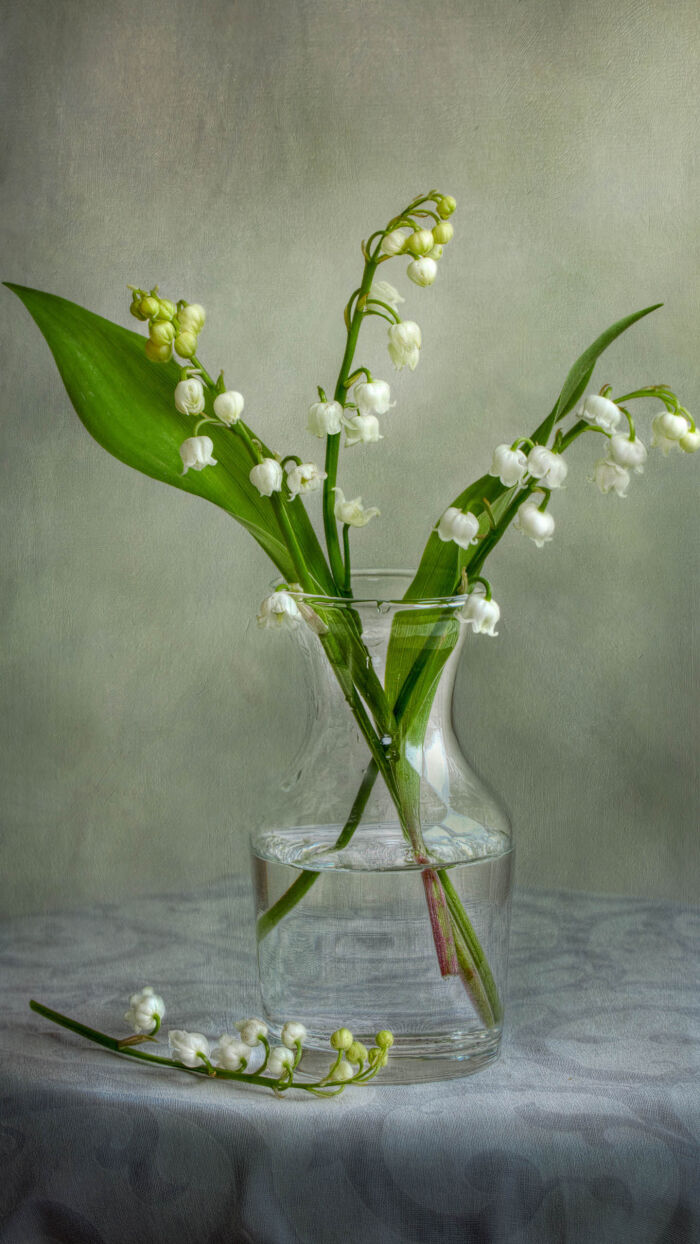 (02月27日)去年油气矿藏探明储量大幅增加|星空综合(图1) 星空综合