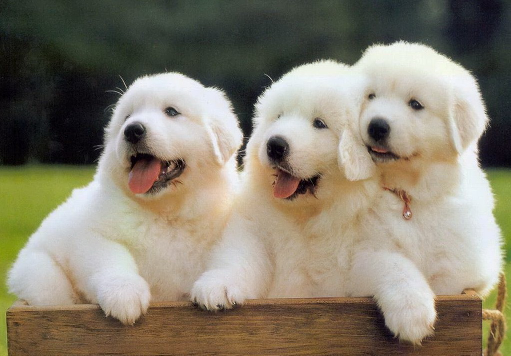 星空·综合体育-(06月26日)吉林市化工产业开展国际化合作广借外力加速发展(图2) 星空综合