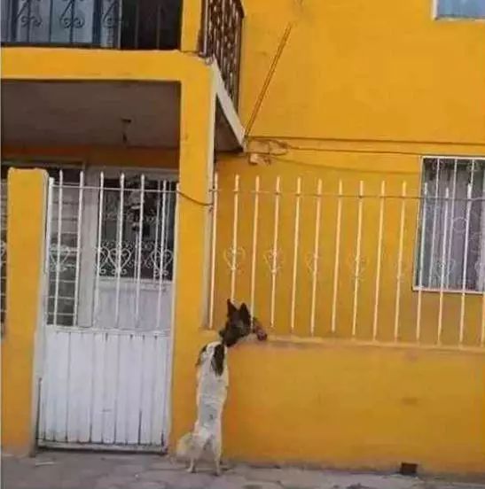 酒价:1998“星空·综合体育”(图2) 星空·综合体育