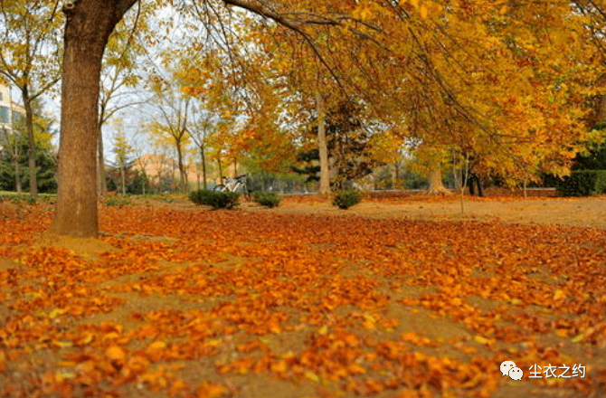 
逐日一考 ▌ 10月26日是（    ）日‘星空·综合体育’(图3)
