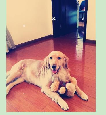 星空·综合体育