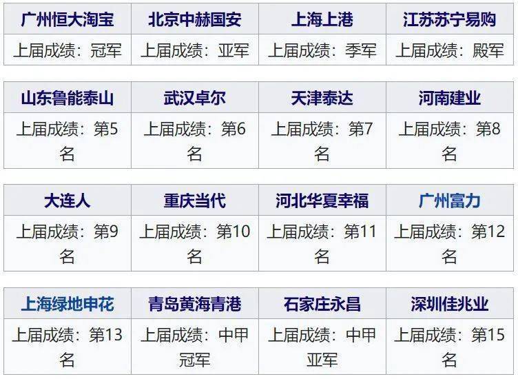 
三年近40支球队消失 足协拿什么扩军？（纪念那些退出足坛的球队）_星空综合(图1)