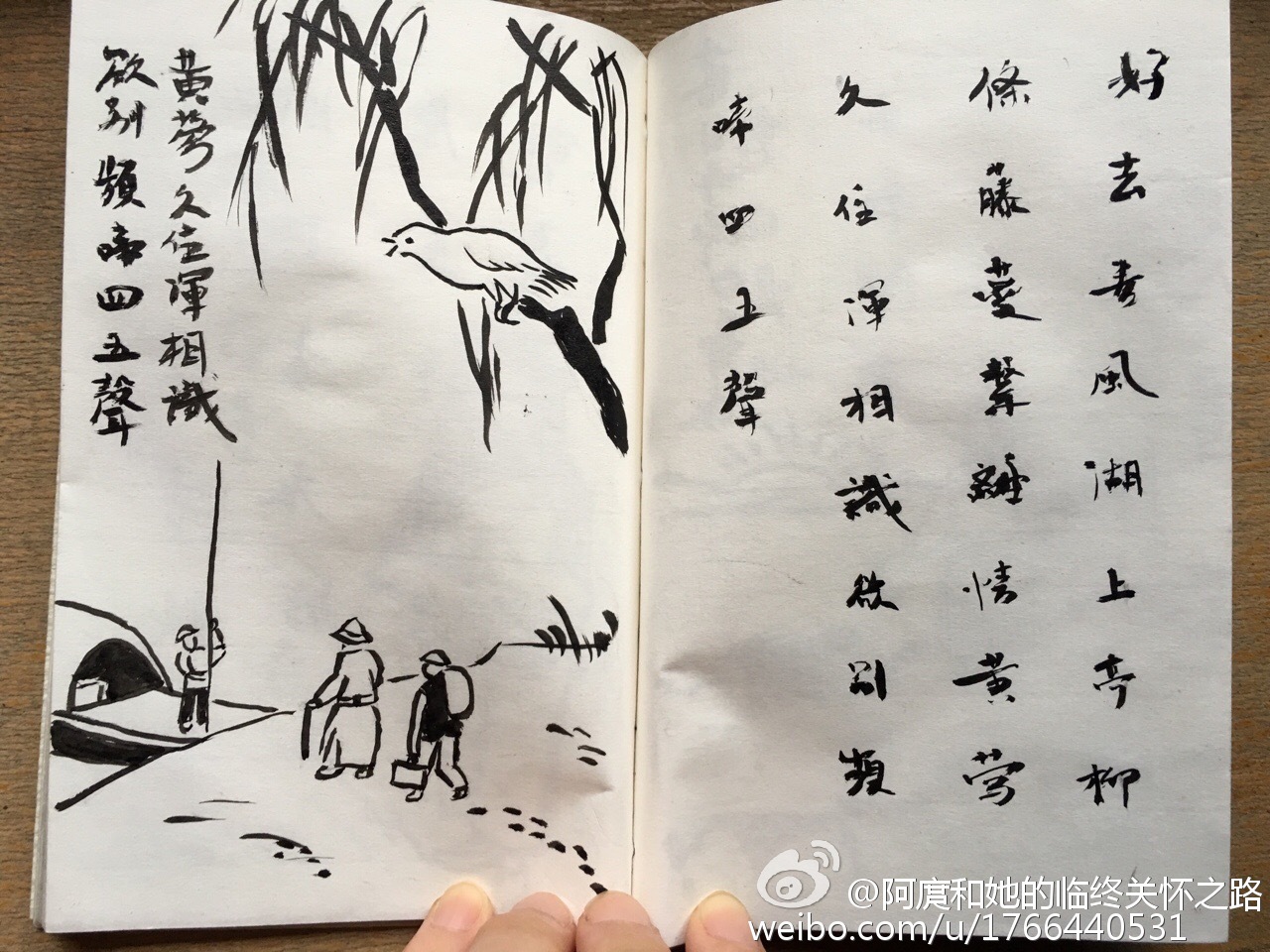 星空·综合体育