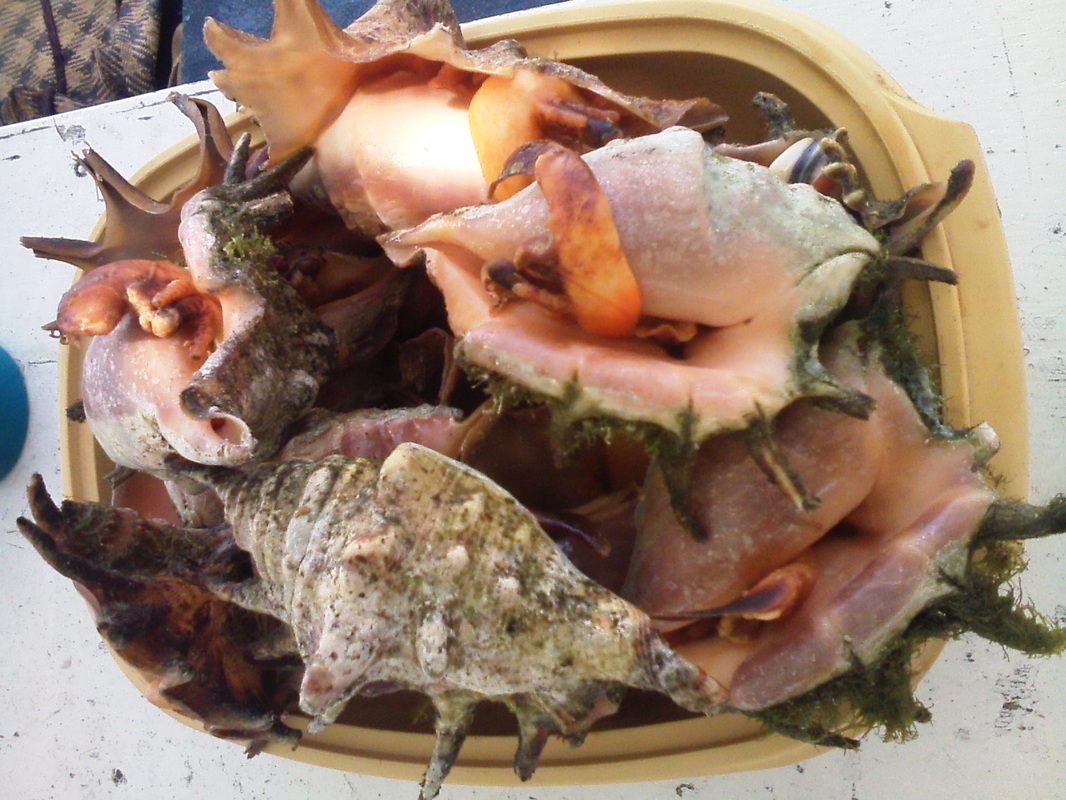 星空·综合体育