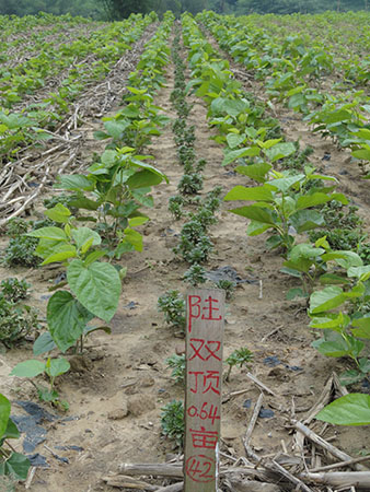 星空·综合体育